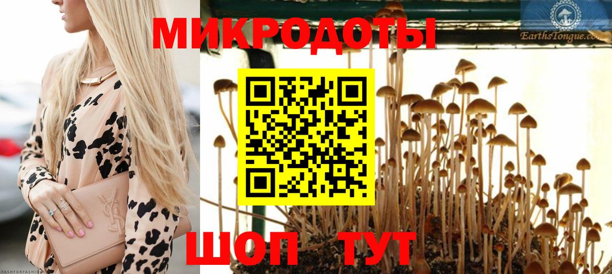 Псилоцибиновые грибы ЛСД Мичуринск